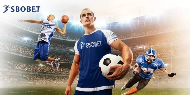 Giao diện mới sbobet đẹp mắt, ấn tượng với tất cả người chơi