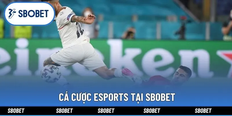  Cá cược Esports tại Sbobet