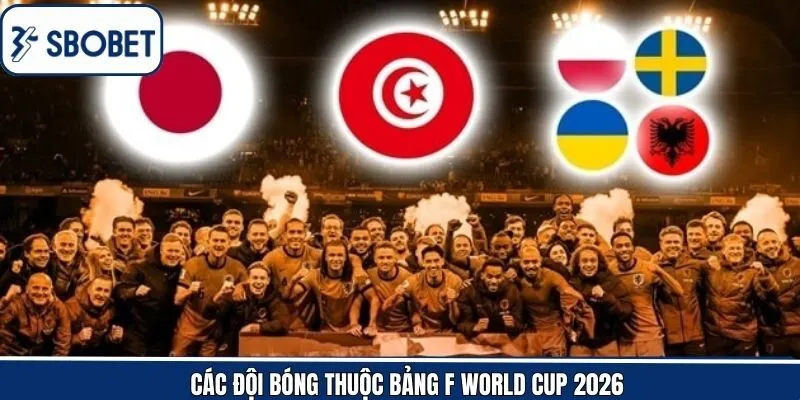 Những cái tên tham dự bảng F của giải đấu WC 2026