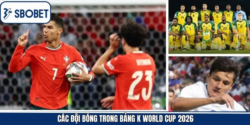 Các đội tuyển góp mặt tại bảng K World Cup 2026