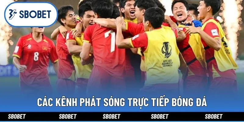 Các kênh phát sóng trực tiếp bóng đá