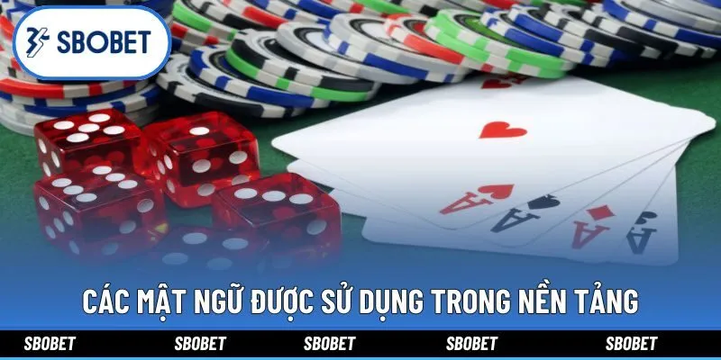 Các mật ngữ được sử dụng trong nền tảng