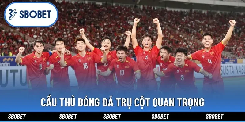 Cầu thủ bóng đá trụ cột quan trọng