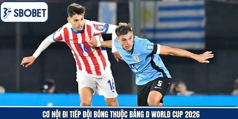 Nhận định chi tiết cơ hội của bảng D World Cup 2026