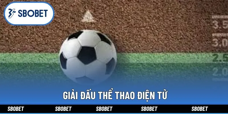  Giải đấu thể thao điện tử