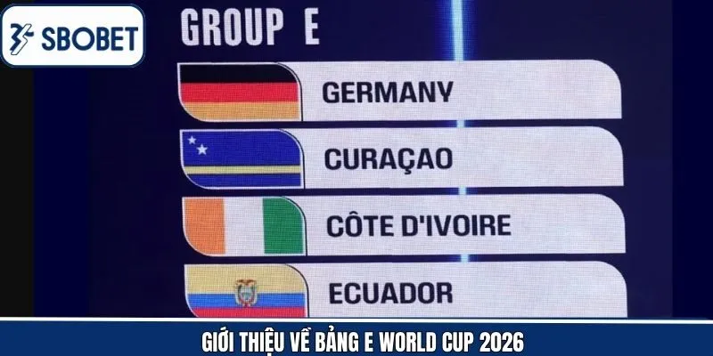 Sơ lược về bảng đấu E tại World Cup 2026