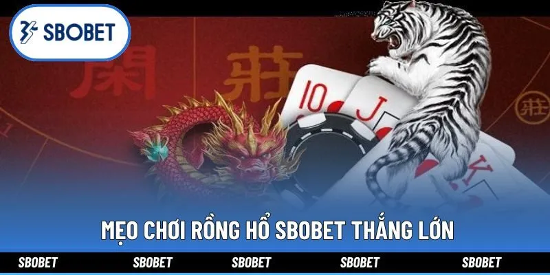 Mẹo chơi Rồng hổ Sbobet thắng lớn