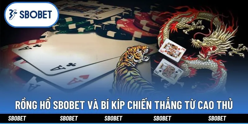 Rồng Hổ Sbobet Và Bí Kíp Chiến Thắng Từ Cao Thủ