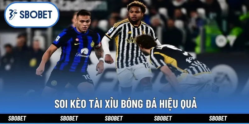 Phân tích mọi khía cạnh để kiếm lợi nhuận